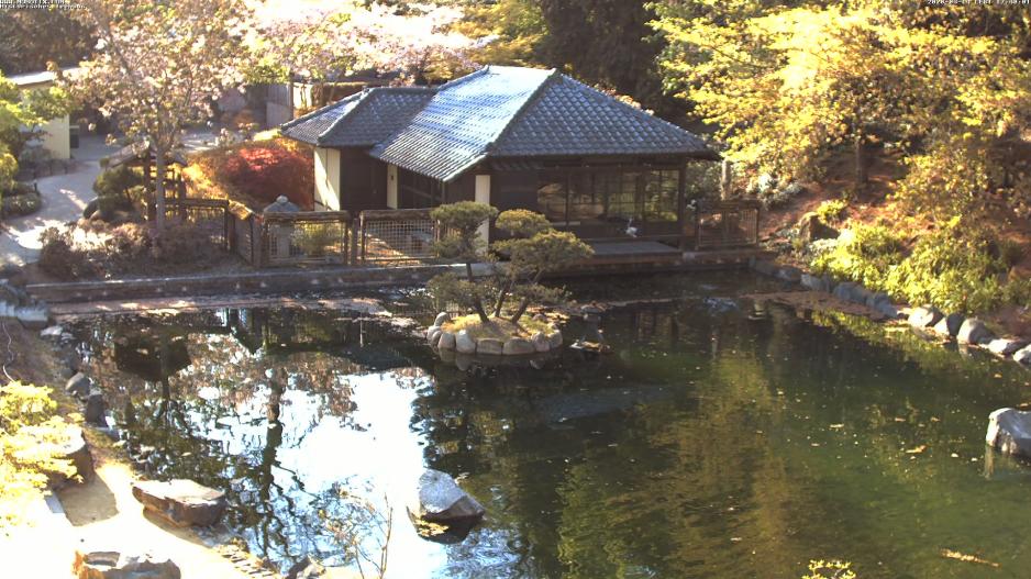 Japanese Garden: Tea House